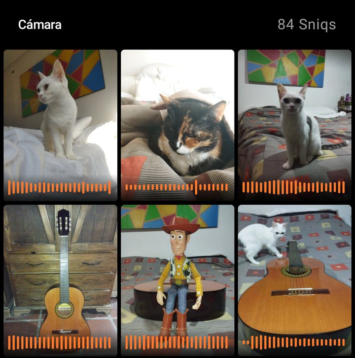 La galería de Sniq, con la ventana sobre un sniq y sobre su banda de sonido.